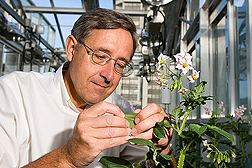 ARS scientist David Spooner