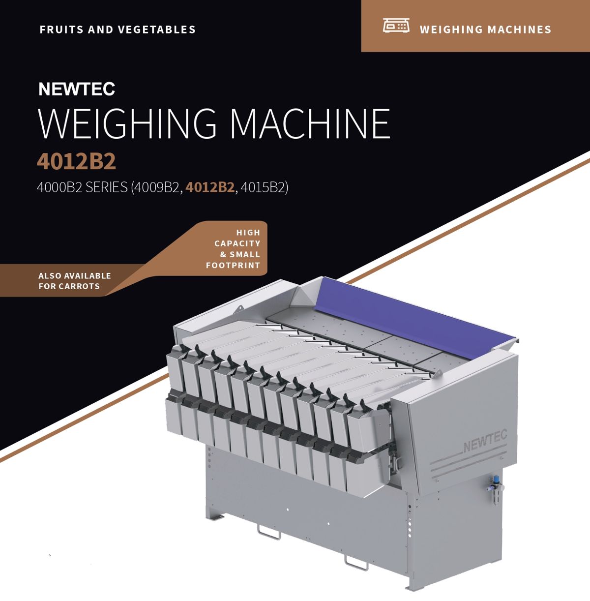 Newtec Weighing Machine 4012B2 Brochure